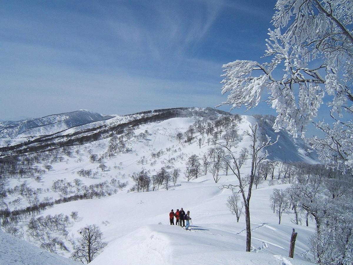 Togari Onsen Alpen Plaza 3* Iiyama